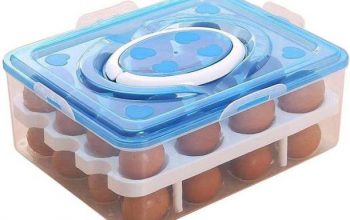 Double Layer 32 Egg Storage Box | Refrigerator