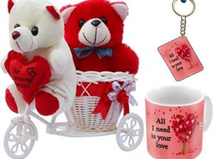 Romantic Cycle Teddy Gifts for Wife Girlfriend
