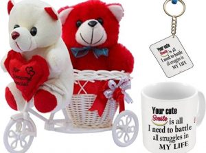 Romantic Cycle Teddy Gifts for Wife Girlfriend