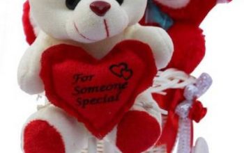 Romantic Cycle Teddy Return Gifts for Wife Girlfriend
