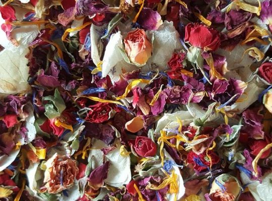 Wholesale: Rose Buds and Petals