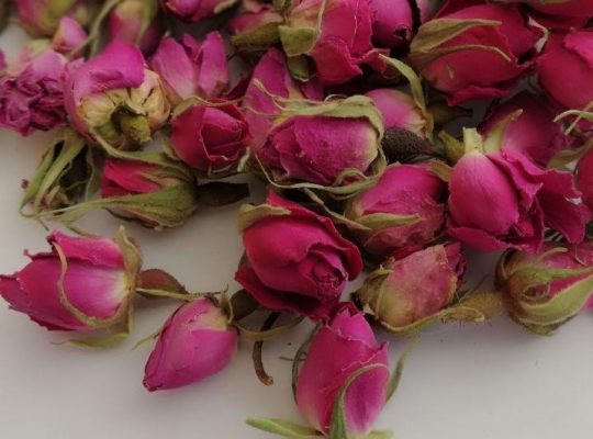 Wholesale: Rose Buds and Petals